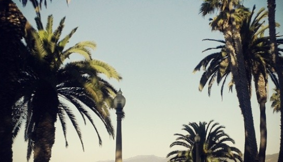 Screen shot 2013-10-08 at 10.49.56 AM