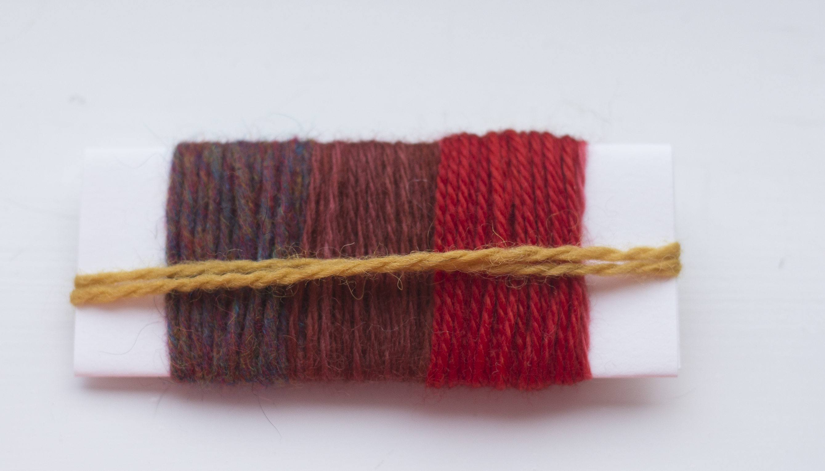 IMG_6974d tin can knits